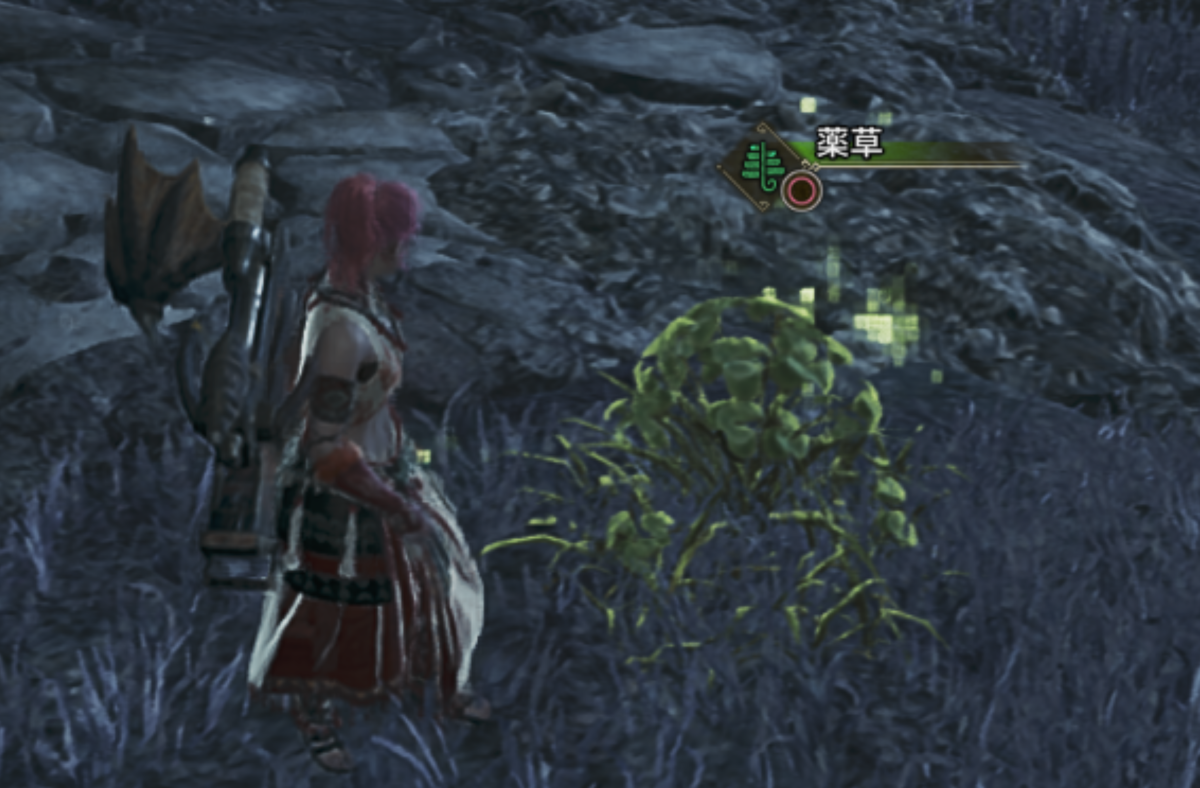 モンハンワイルズ チャプター5 薬草