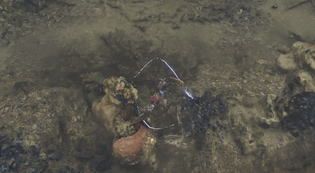 ワイルズ リザルト チャタカブラ 双剣