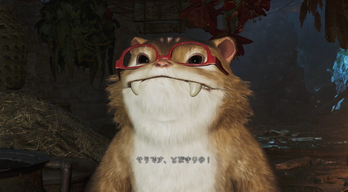 モンハンワイルズ ガメネッコ