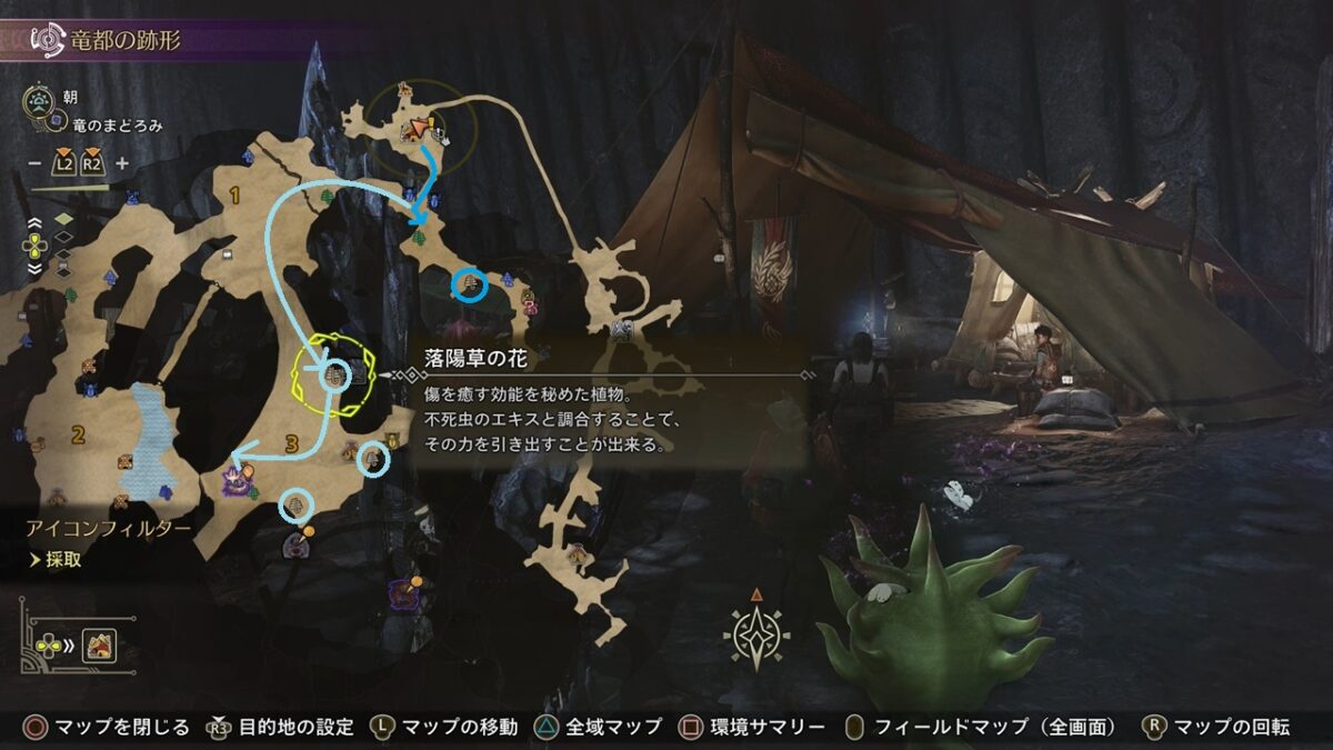 モンハンワイルズ 落陽草の花 竜都の跡形 ベースキャンプ