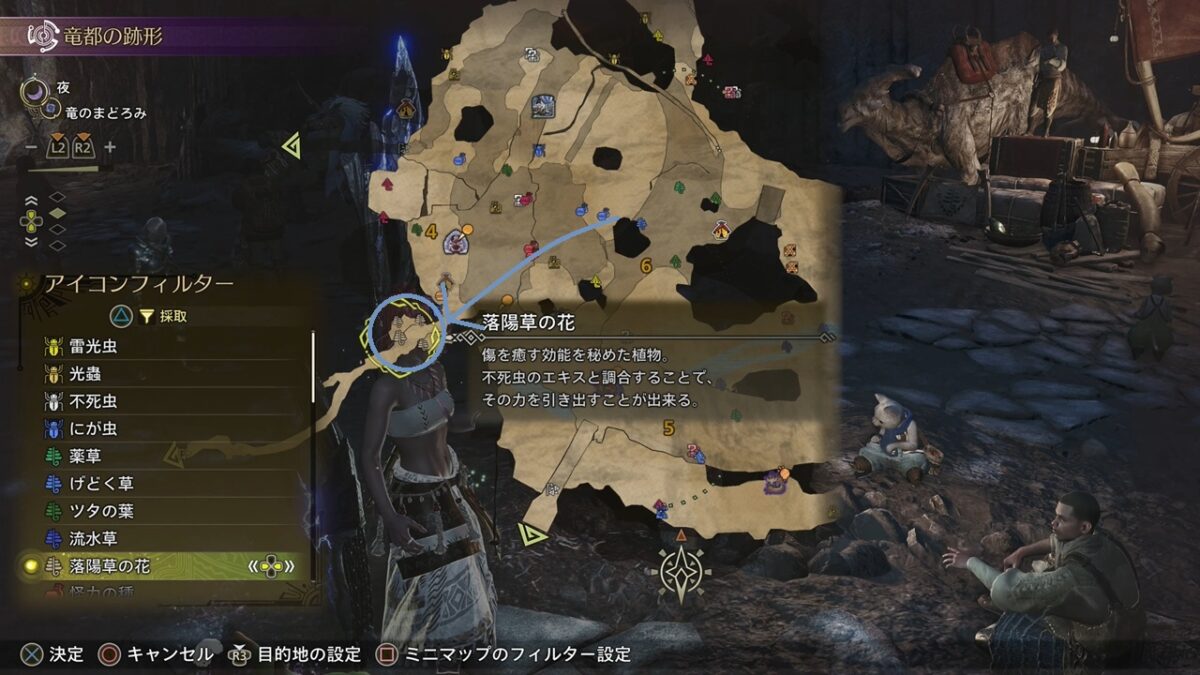 モンハンワイルズ 落陽草の花 竜都の跡形 ベースキャンプ2