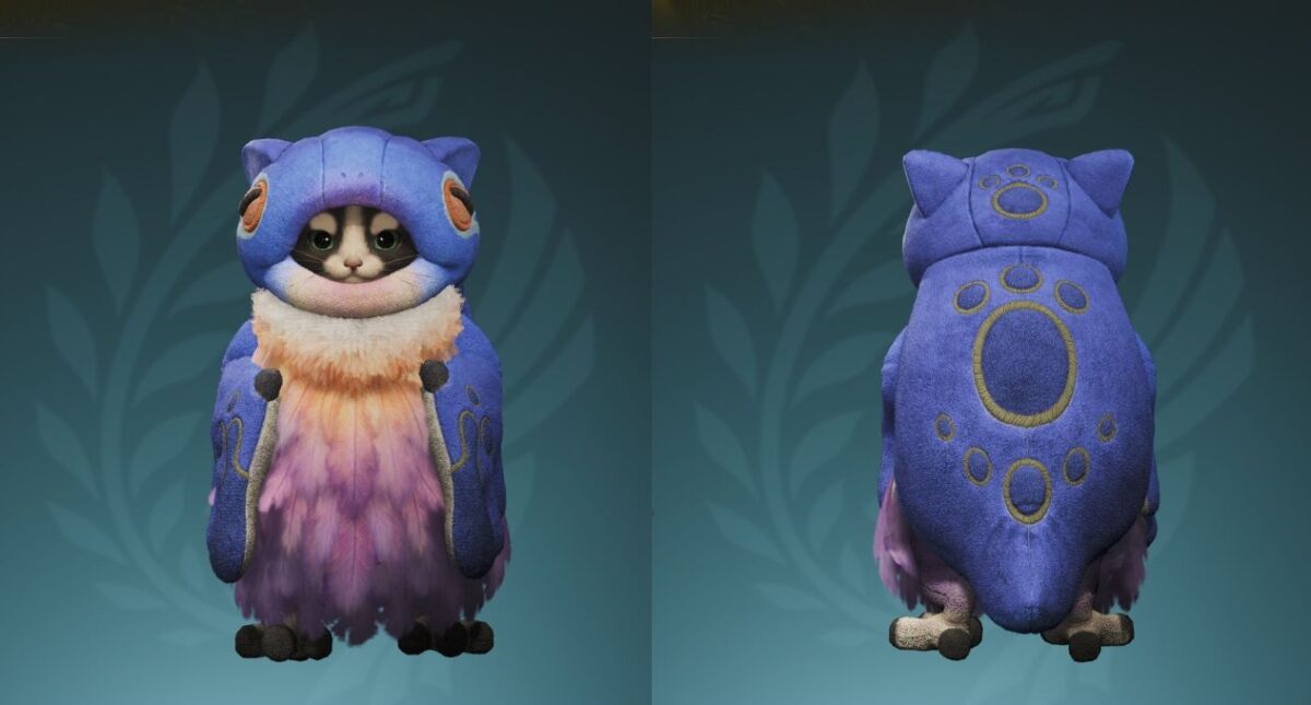 モンハンワイルズ ビセイウタネコα フロント・バック