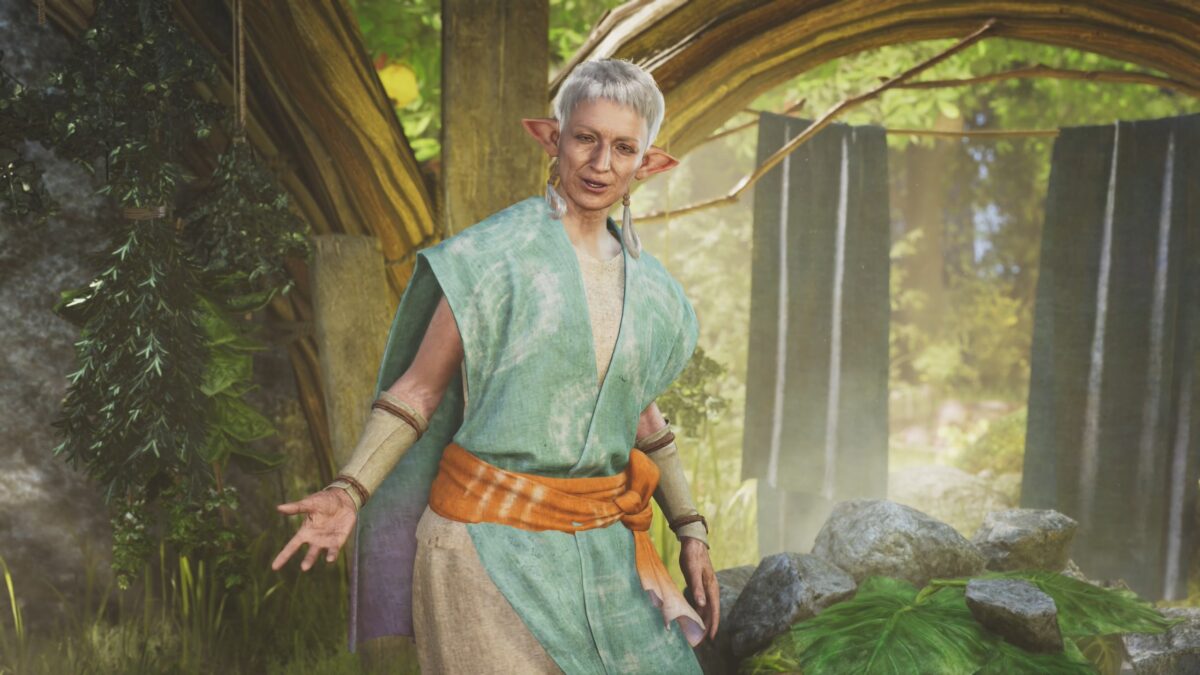 モンハンワイルズ ミミの方