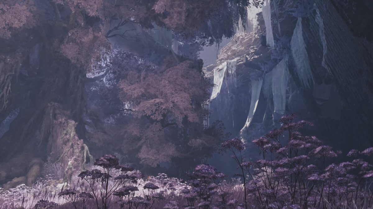 モンハンワイルズ 竜都3